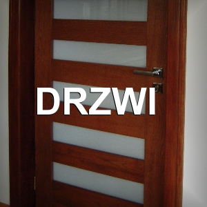 DRZWI